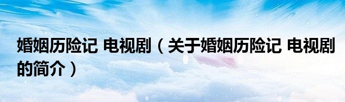 婚姻历险记 电视剧（关于婚姻历险记 电视剧的简介）