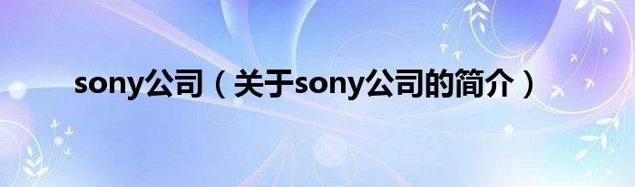 sony公司（关于sony公司的简介）