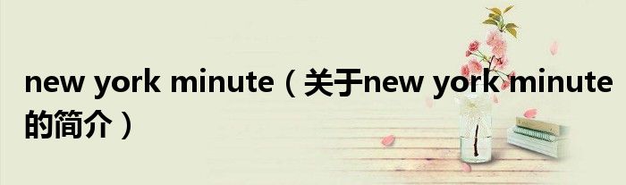 new york minute（关于new york minute的简介）