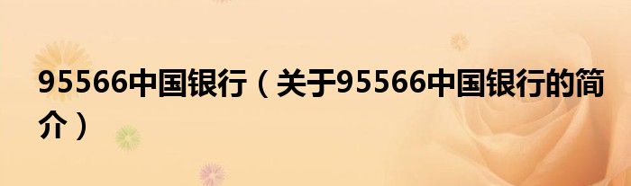 95566中国银行（关于95566中国银行的简介）