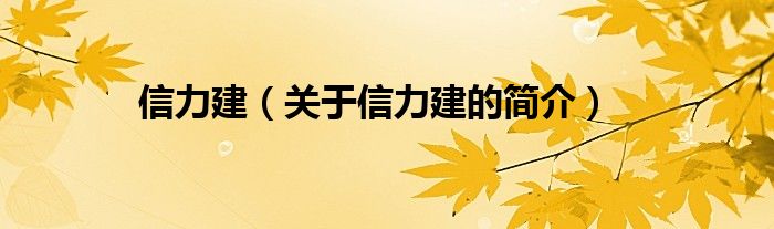 信力建（关于信力建的简介）