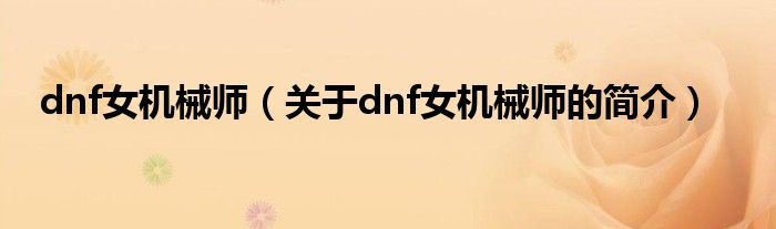dnf女机械师（关于dnf女机械师的简介）