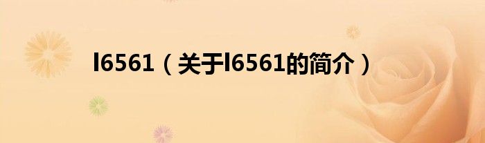 l6561（关于l6561的简介）