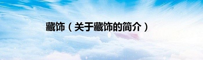 藏饰（关于藏饰的简介）