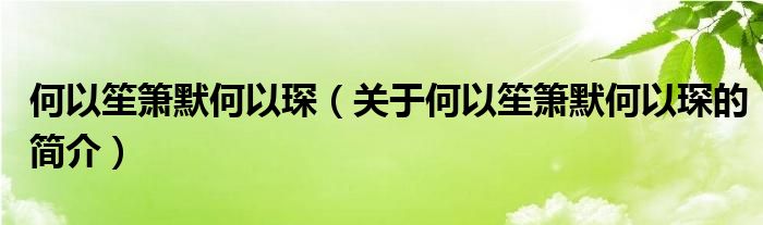 何以笙箫默何以琛（关于何以笙箫默何以琛的简介）