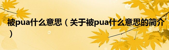 被pua什么意思（关于被pua什么意思的简介）