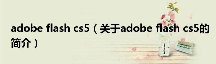 adobe flash cs5（关于adobe flash cs5的简介）