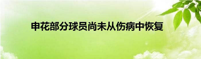  申花部分球员尚未从伤病中恢复