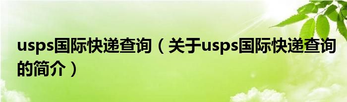usps国际快递查询（关于usps国际快递查询的简介）