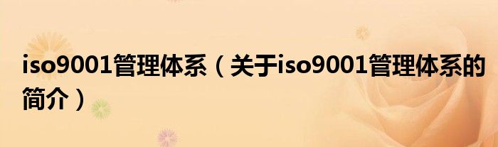 iso9001管理体系（关于iso9001管理体系的简介）