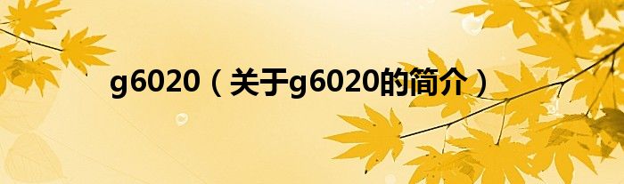 g6020（关于g6020的简介）