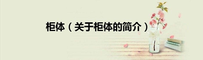 柜体（关于柜体的简介）