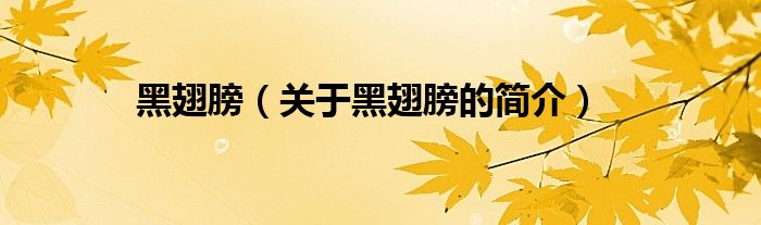 黑翅膀（关于黑翅膀的简介）