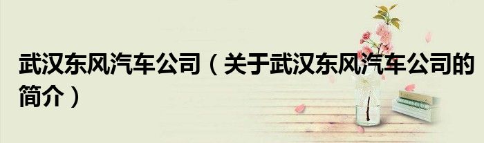 武汉东风汽车公司（关于武汉东风汽车公司的简介）