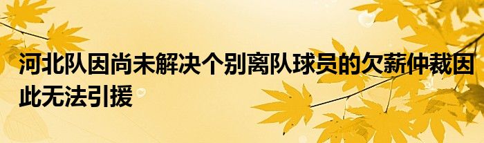 河北队因尚未解决个别离队球员的欠薪仲裁因此无法引援