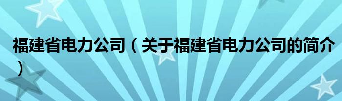 福建省电力公司（关于福建省电力公司的简介）