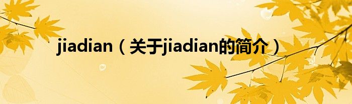 jiadian（关于jiadian的简介）