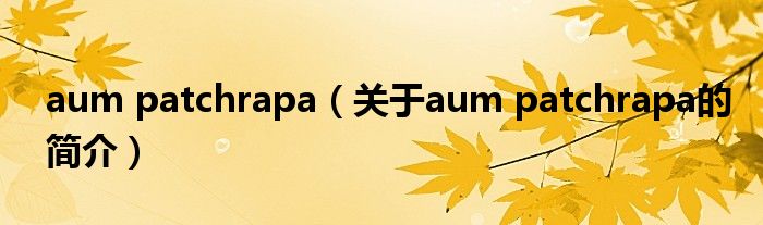 aum patchrapa（关于aum patchrapa的简介）