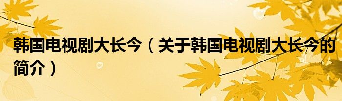 韩国电视剧大长今（关于韩国电视剧大长今的简介）