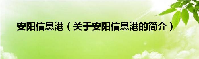 安阳信息港（关于安阳信息港的简介）
