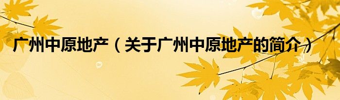 广州中原地产（关于广州中原地产的简介）