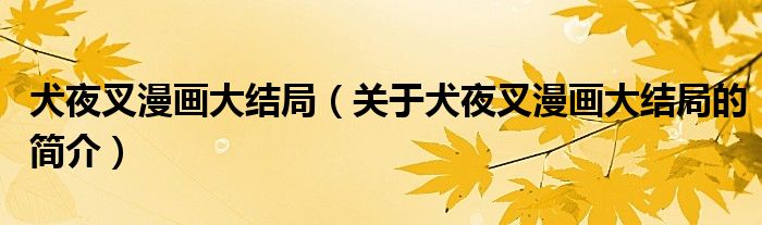 犬夜叉漫画大结局（关于犬夜叉漫画大结局的简介）
