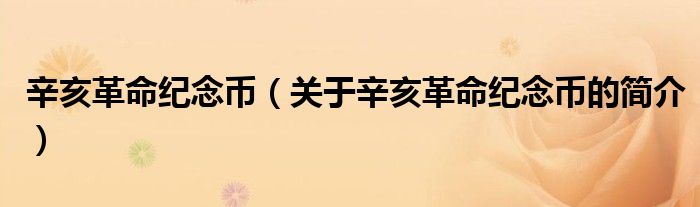 辛亥革命纪念币（关于辛亥革命纪念币的简介）