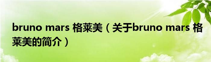 bruno mars 格莱美（关于bruno mars 格莱美的简介）