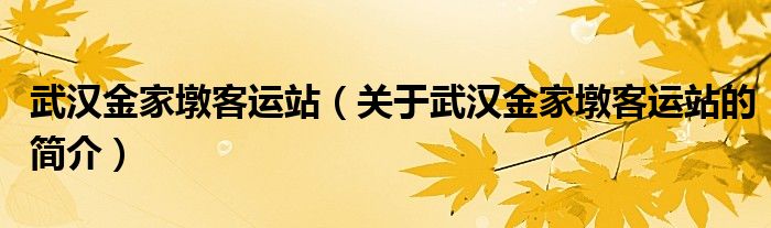 武汉金家墩客运站（关于武汉金家墩客运站的简介）