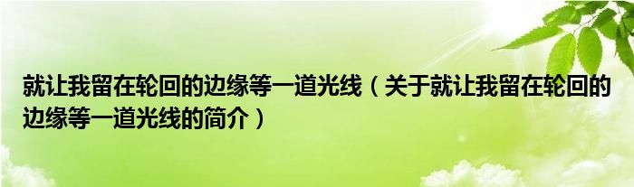 就让我留在轮回的边缘等一道光线（关于就让我留在轮回的边缘等一道光线的简介）