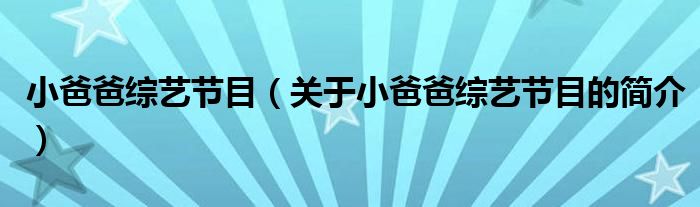 小爸爸综艺节目（关于小爸爸综艺节目的简介）