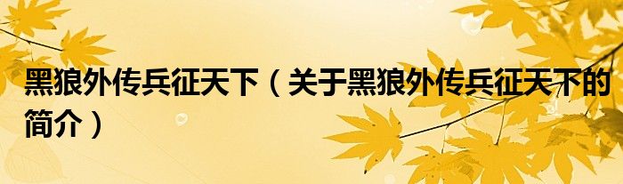 黑狼外传兵征天下（关于黑狼外传兵征天下的简介）