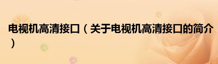 电视机高清接口（关于电视机高清接口的简介）