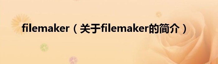 filemaker（关于filemaker的简介）