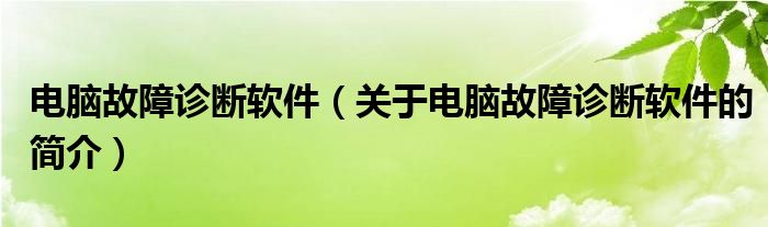 电脑故障诊断软件（关于电脑故障诊断软件的简介）