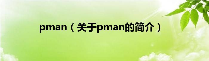 pman（关于pman的简介）