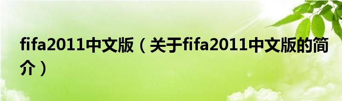 fifa2011中文版（关于fifa2011中文版的简介）