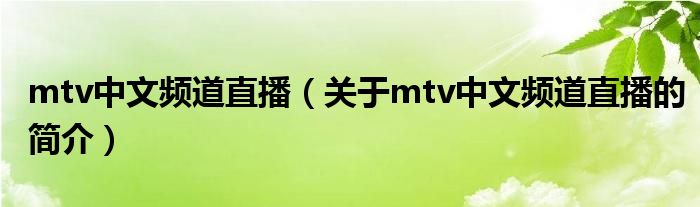 mtv中文频道直播（关于mtv中文频道直播的简介）