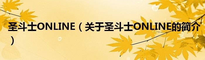 圣斗士ONLINE（关于圣斗士ONLINE的简介）