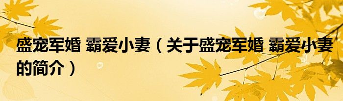 盛宠军婚 霸爱小妻（关于盛宠军婚 霸爱小妻的简介）