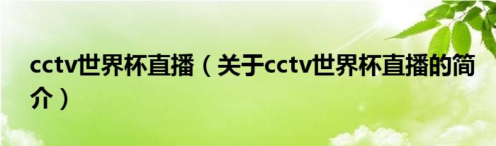 cctv世界杯直播（关于cctv世界杯直播的简介）