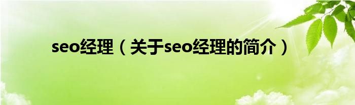 seo经理（关于seo经理的简介）