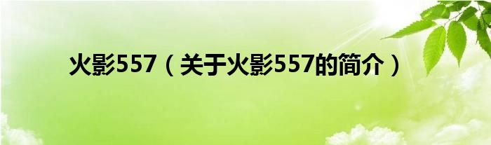 火影557（关于火影557的简介）