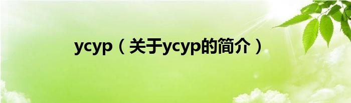 ycyp（关于ycyp的简介）