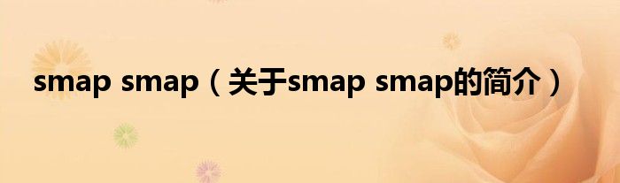 smap smap（关于smap smap的简介）