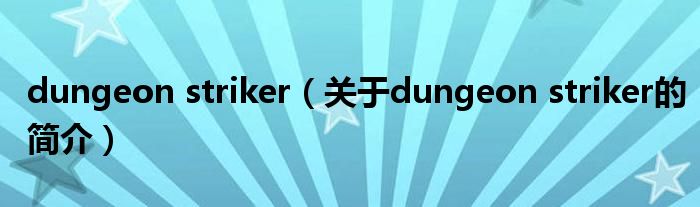 dungeon striker（关于dungeon striker的简介）