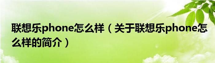 联想乐phone怎么样（关于联想乐phone怎么样的简介）