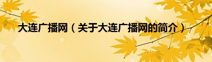 大连广播网（关于大连广播网的简介）