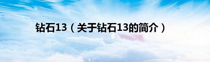钻石13（关于钻石13的简介）