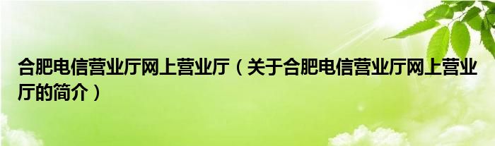 合肥电信营业厅网上营业厅（关于合肥电信营业厅网上营业厅的简介）